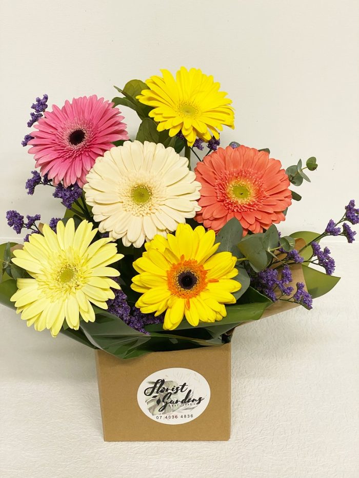 gerberas